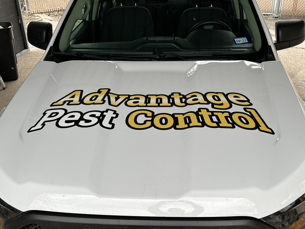 Advantage Pest Control 2