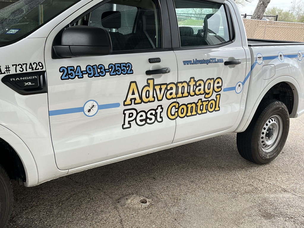 Advantage Pest Control 3
