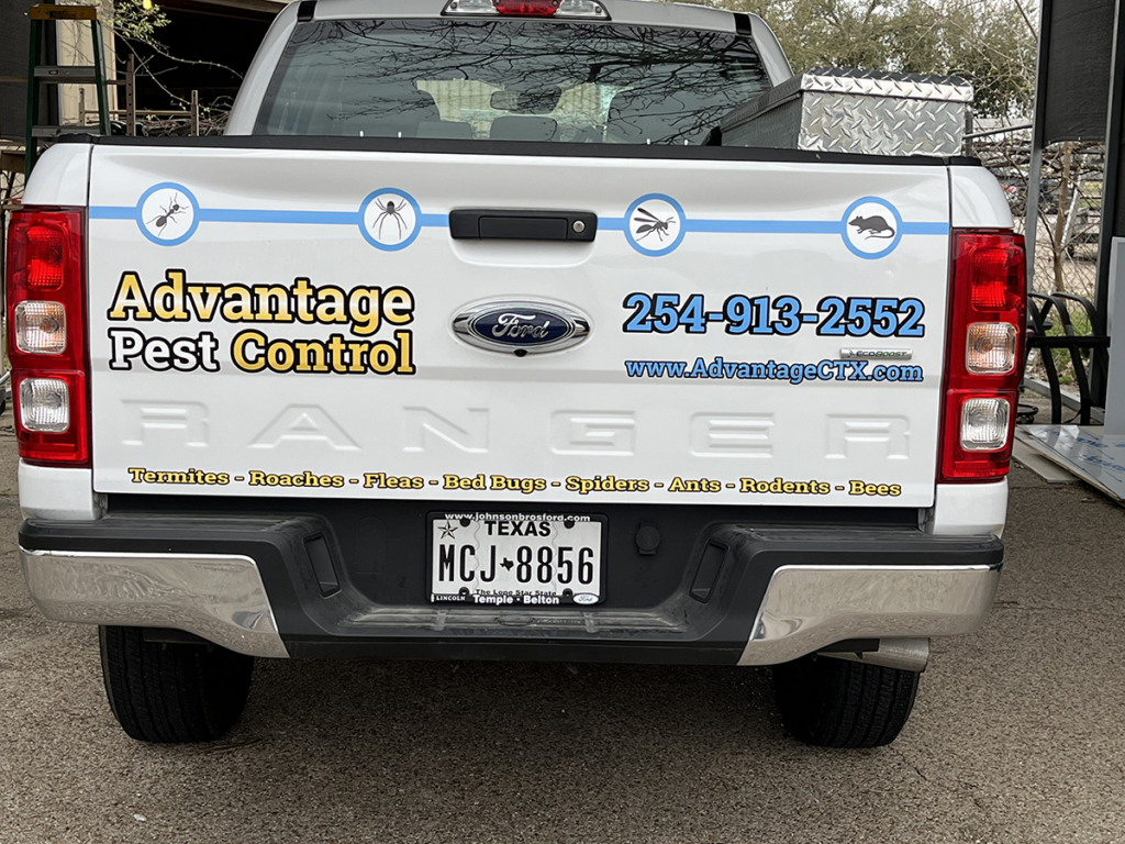 Advantage Pest Control 4