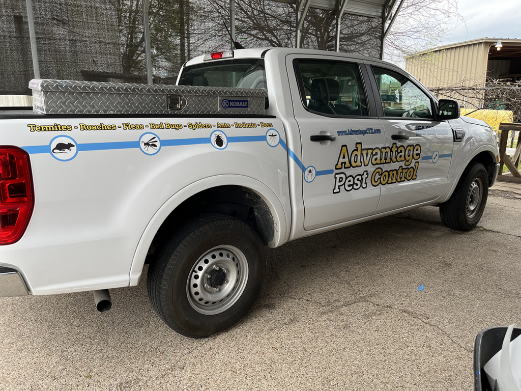 Advantage Pest Control1