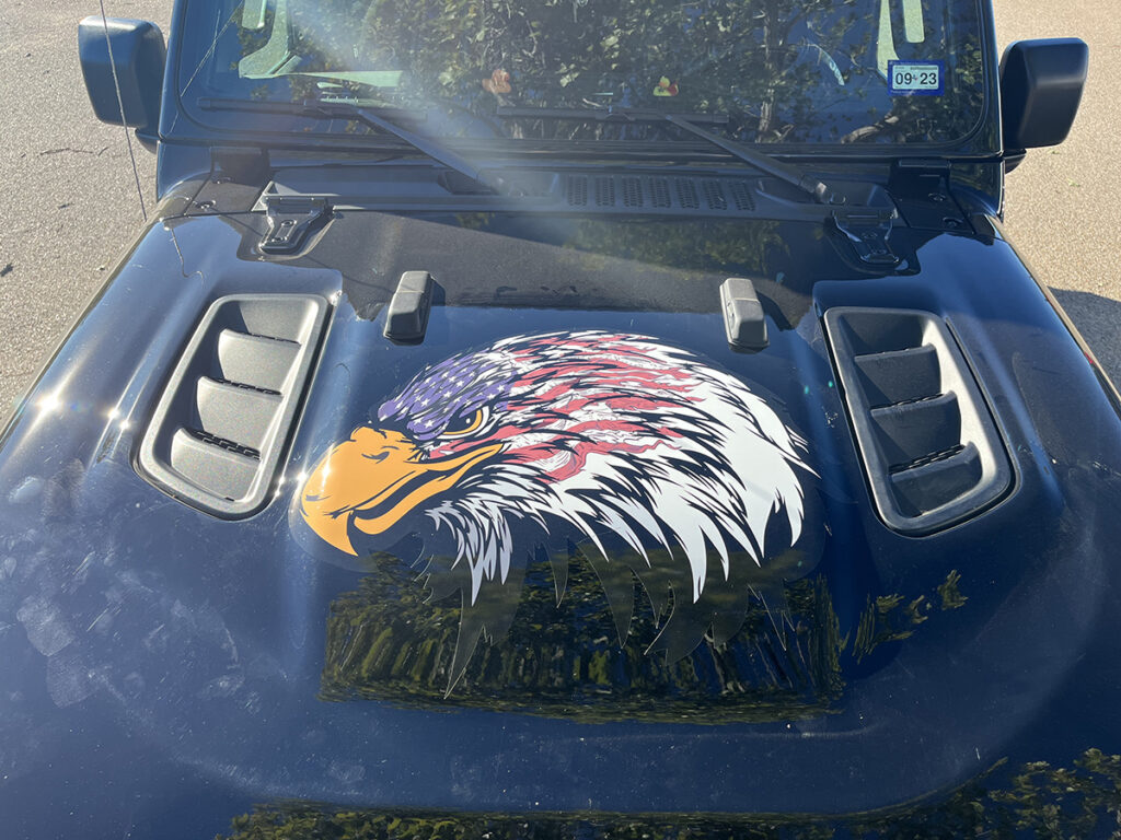 Eagle Graphic